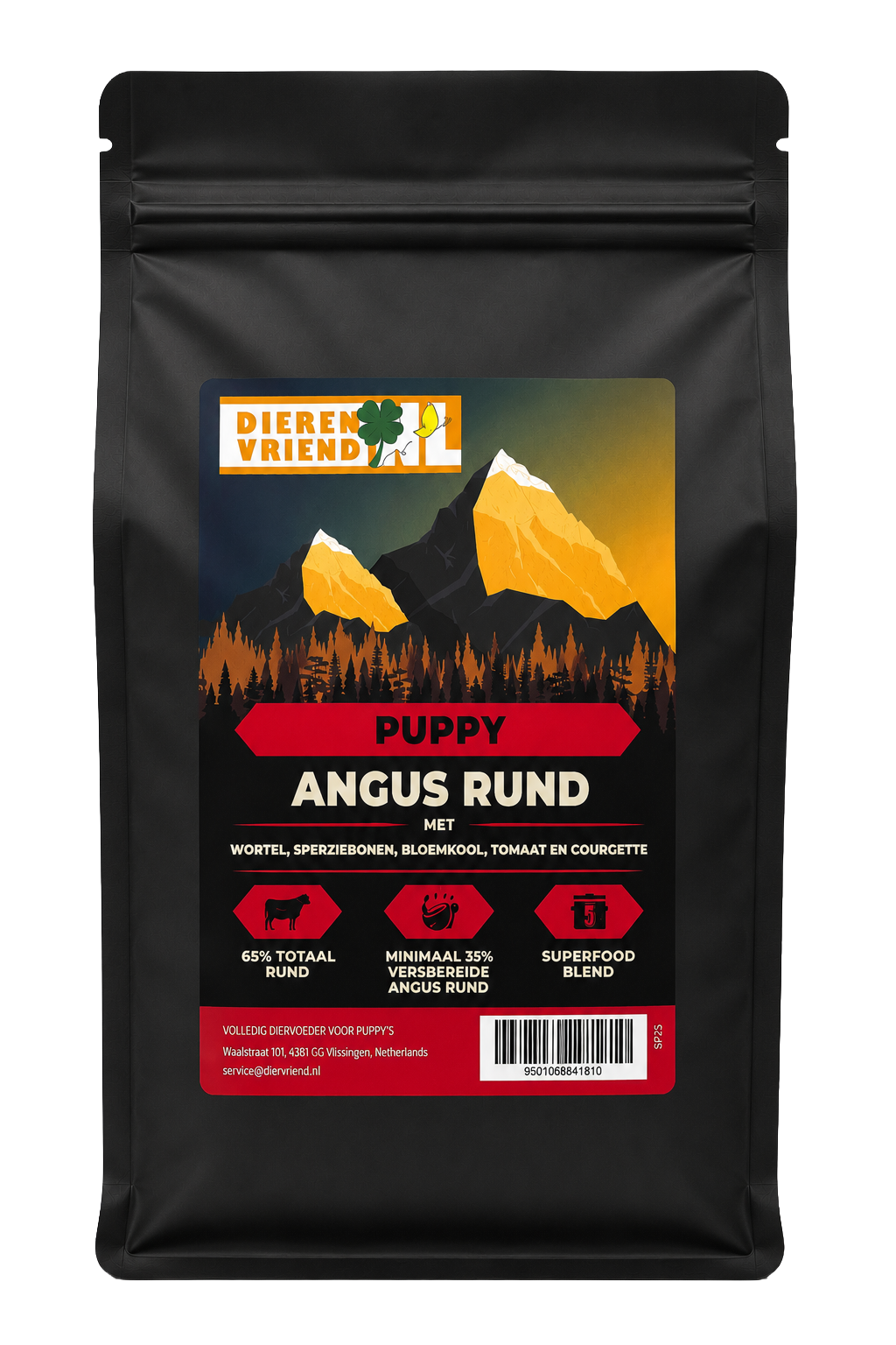 Puppy Angus Rund