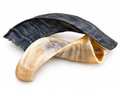 Ramshoorn