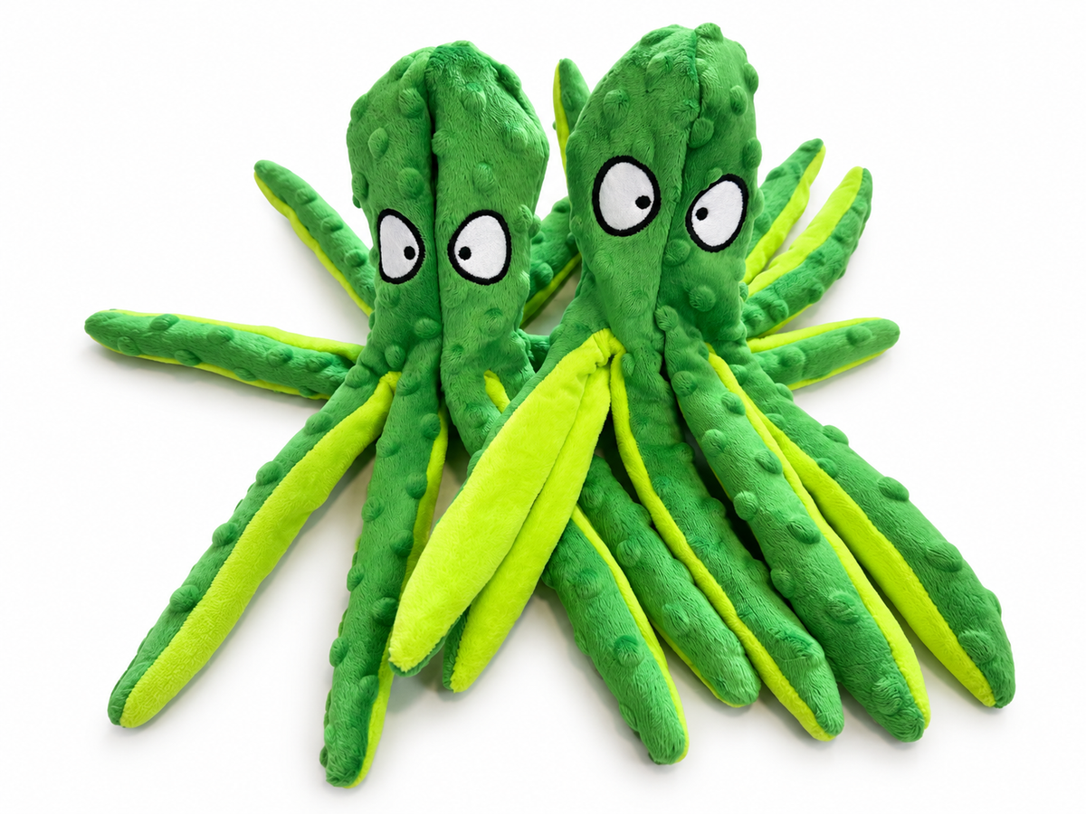 Groene octopus