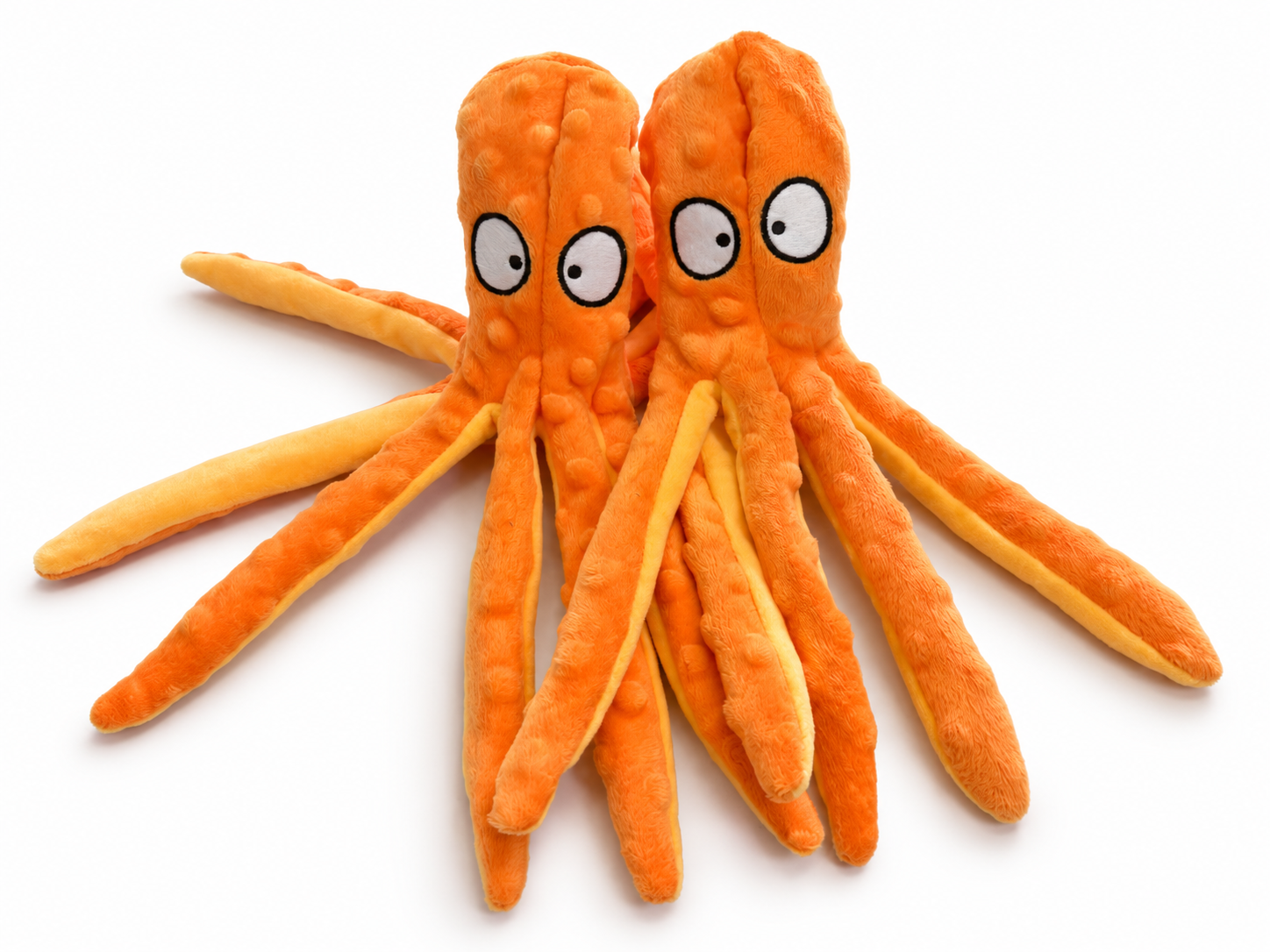 Oranje octopus