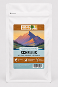 Volwassen hond Schelvis