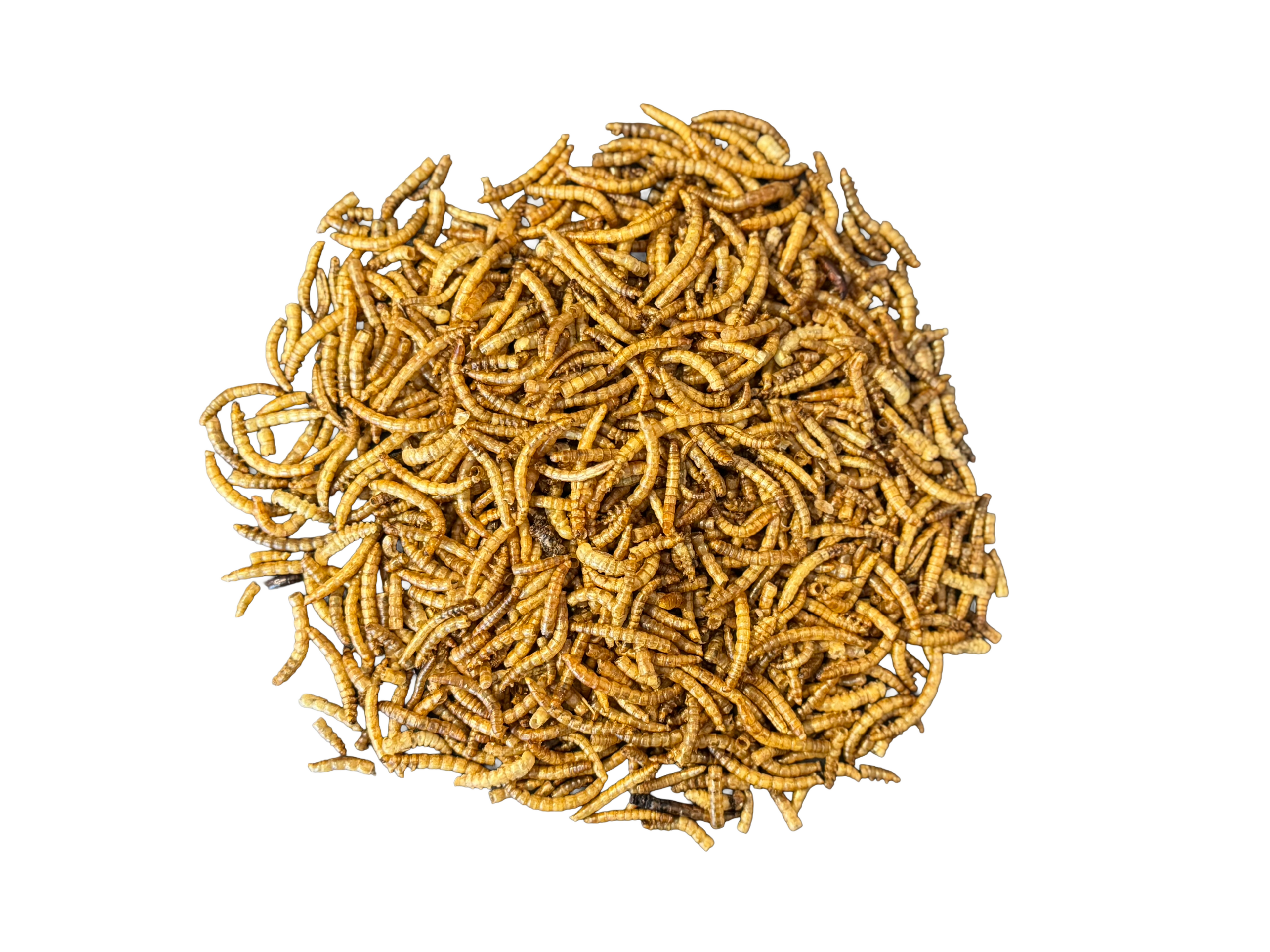 Meelwormen 250gram